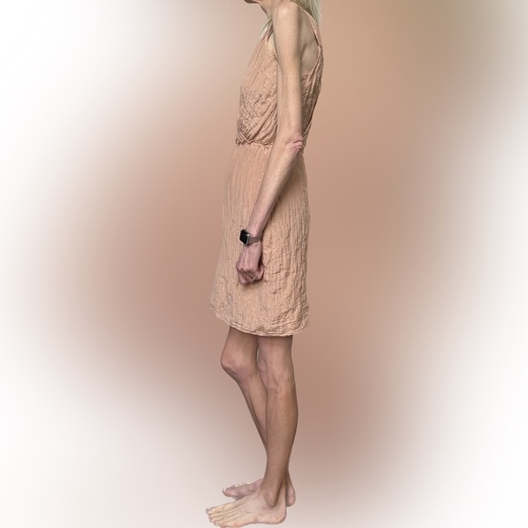 Banana Republic | blush crinkle dress - Picture 5 of 15